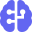 brain-circuit brain-circuit